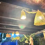 Ginepro Blu *